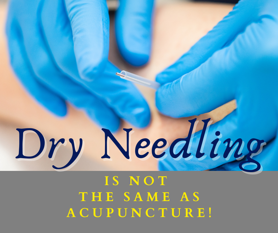 Read more about the article Surprising Truths about Dry Needling You Can’t Afford to Miss