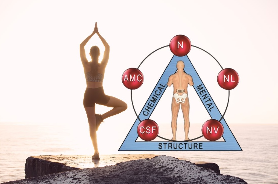 What is Applied Kinesiology